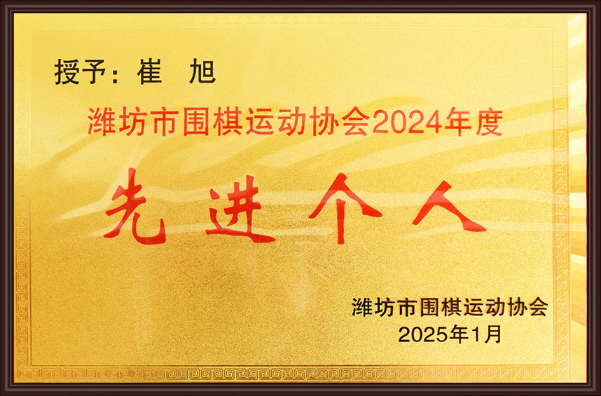 先 进个人
